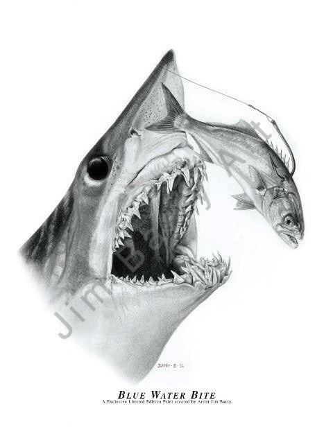 mako shark drawing